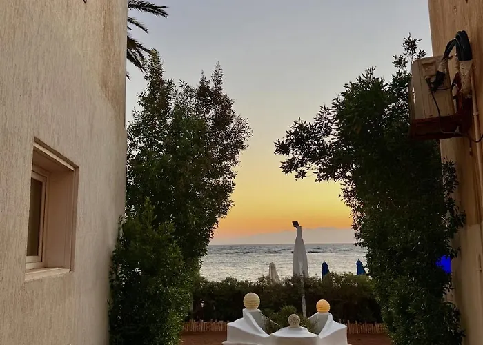 Bedro Garden 30 Sec * Dahab